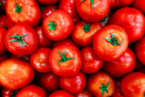 Green Merry Christmas Rectangular Printable Sticker (1)